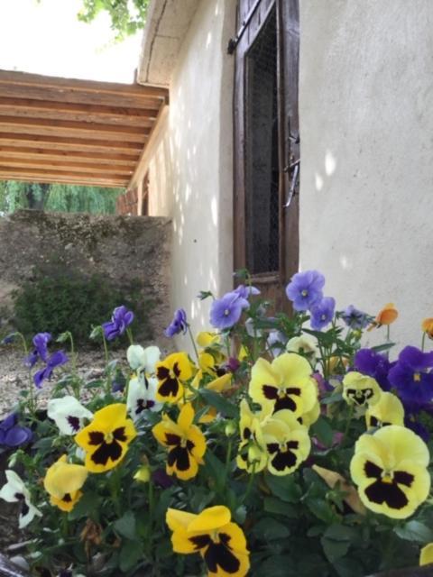 gîtes la ferme de marguerite Tulette Extérieur photo
